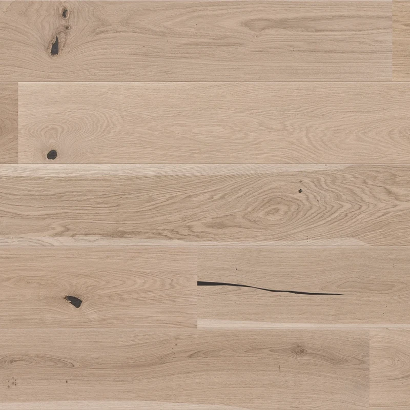 Stejar Delight photo3